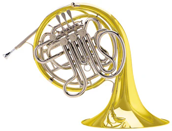 Conn Professional Connstellation Double French Horn - 8DY