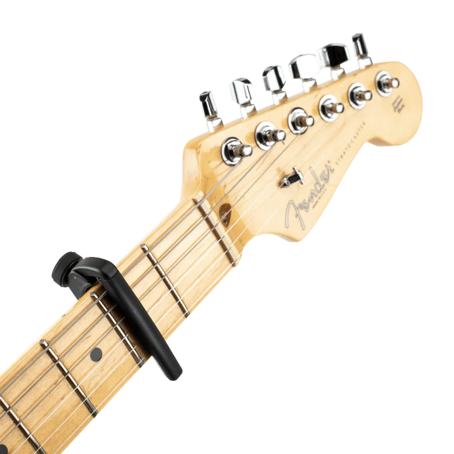 D’Addario Pro Plus Capo - PW-CP-19 - Image 2