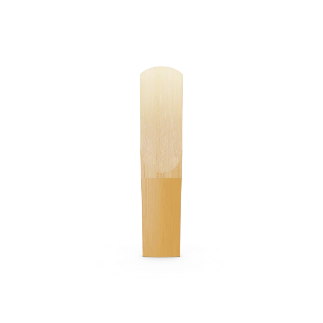 D'Addario Organic Reserve Alto Saxophone Reeds - 3 Pack - Image 5