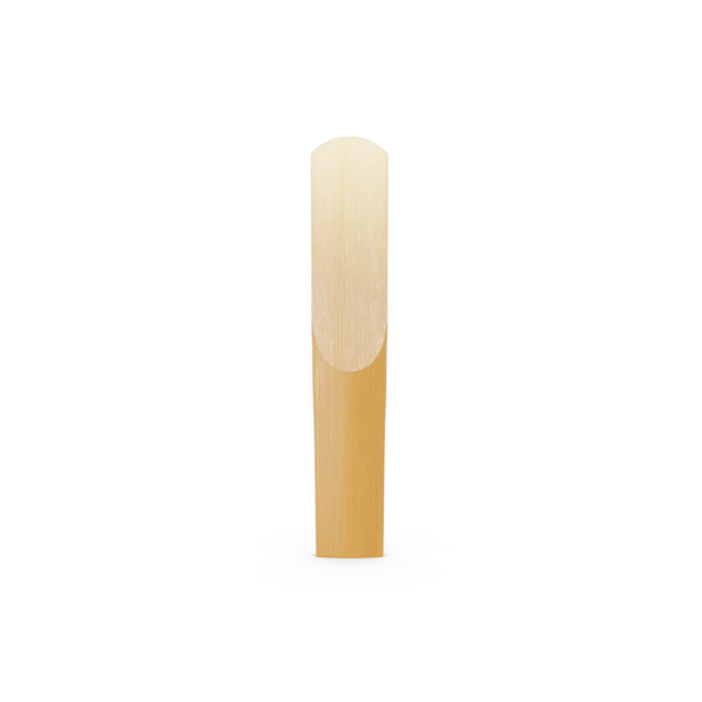 D'Addario Organic Reserve Classic Deutsche Klarinette Reeds - Image 5