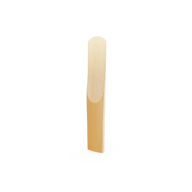D'Addario Organic Reserve Classic Deutsche Klarinette Reeds - Image 6