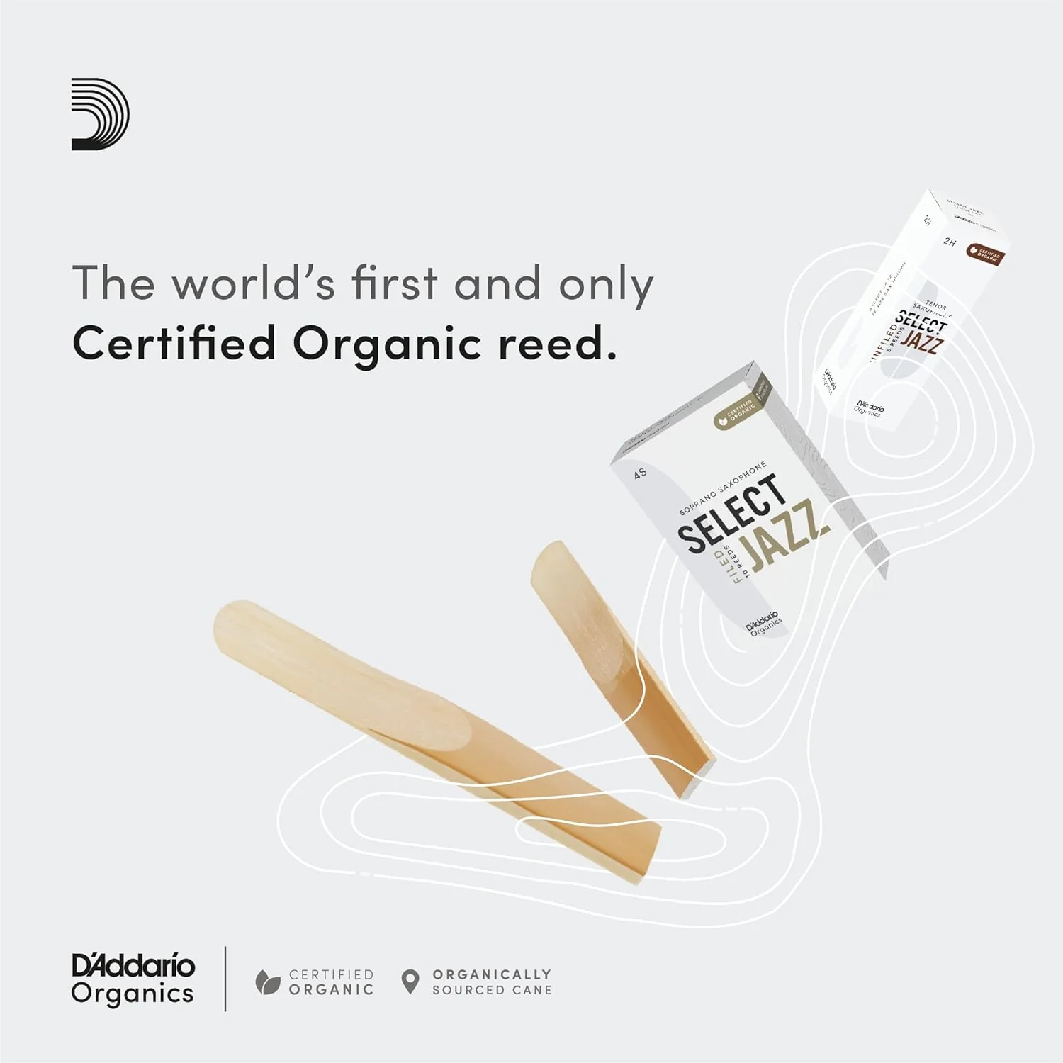 D'Addario Organic Select Jazz Unfiled Alto Saxophone Reeds - 3 Pack - Image 3