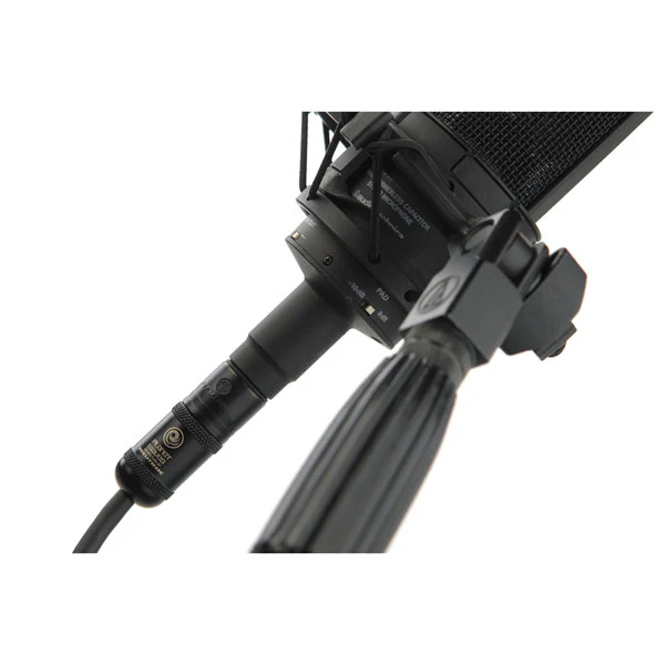 D'Addario American Stage Series XLR Cable, 5 feet - PW-AMSM-05 - Image 2