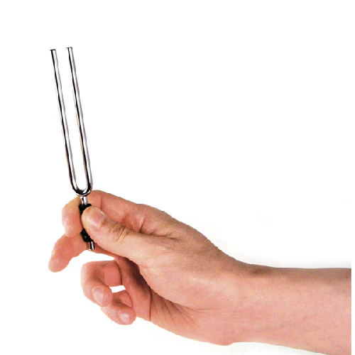 D'Addario Planet Waves Tuning Fork IN the Key of A - Image 2