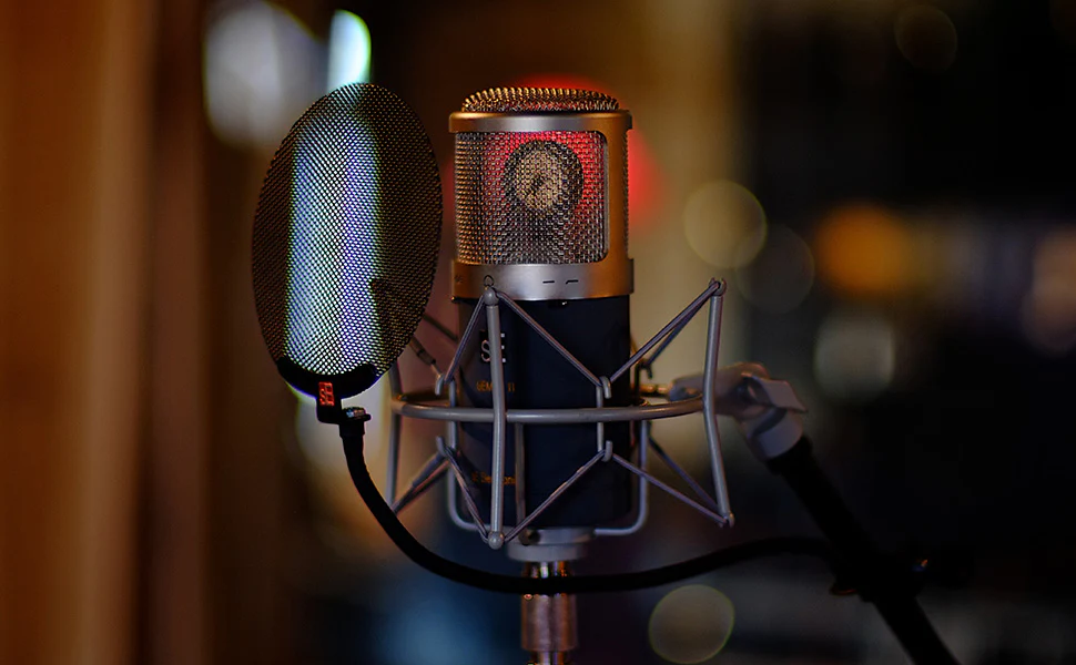 Dual Tube Cardioid Condenser Microphone with Shockmount and Case - Image 4