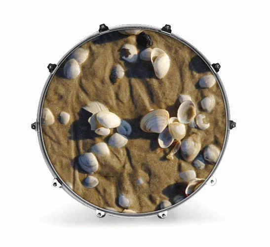 Evans Nature Bass Drum Head - Sand