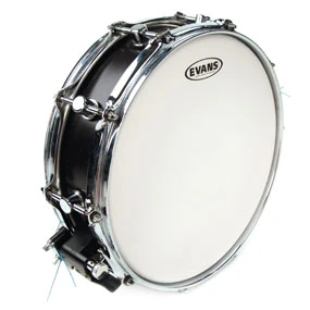 Evans Power Center Reverse Dot Snare Drum Head - 10