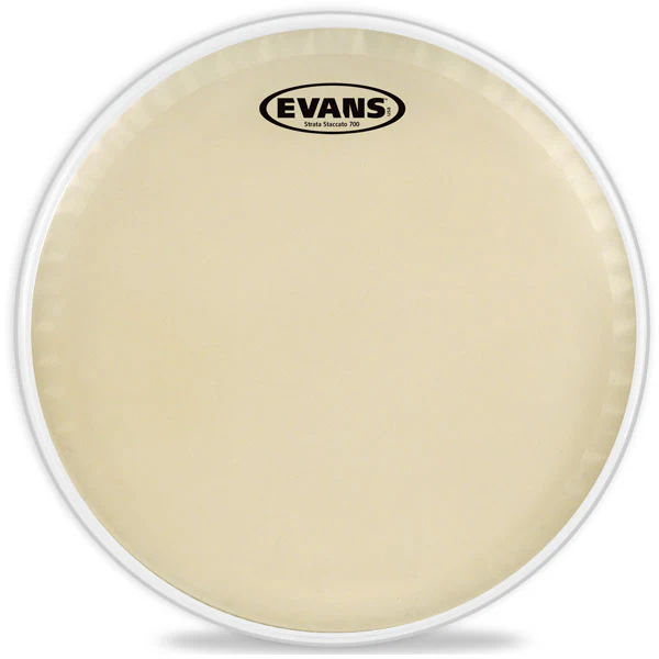Evans Strata Staccato 700 Snare Drum Head - 14 - Image 3