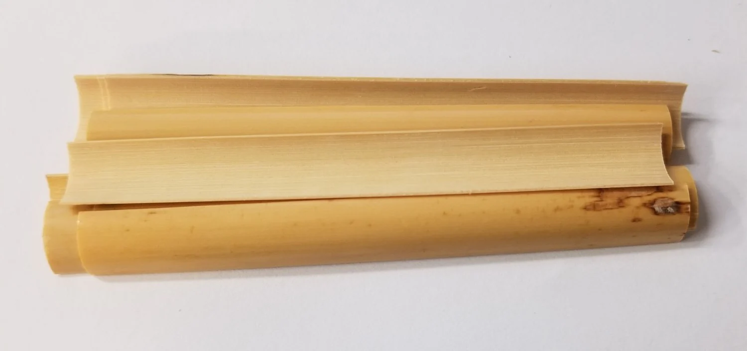 Ghys Cane English Horn- Gouged 10 Pack - Image 3