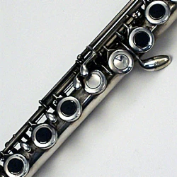 Runyon Flute Touch Finger Positioner