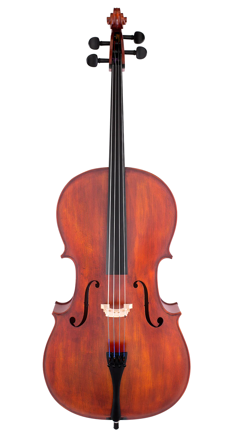 Scherl & Roth SR55 Student Cello