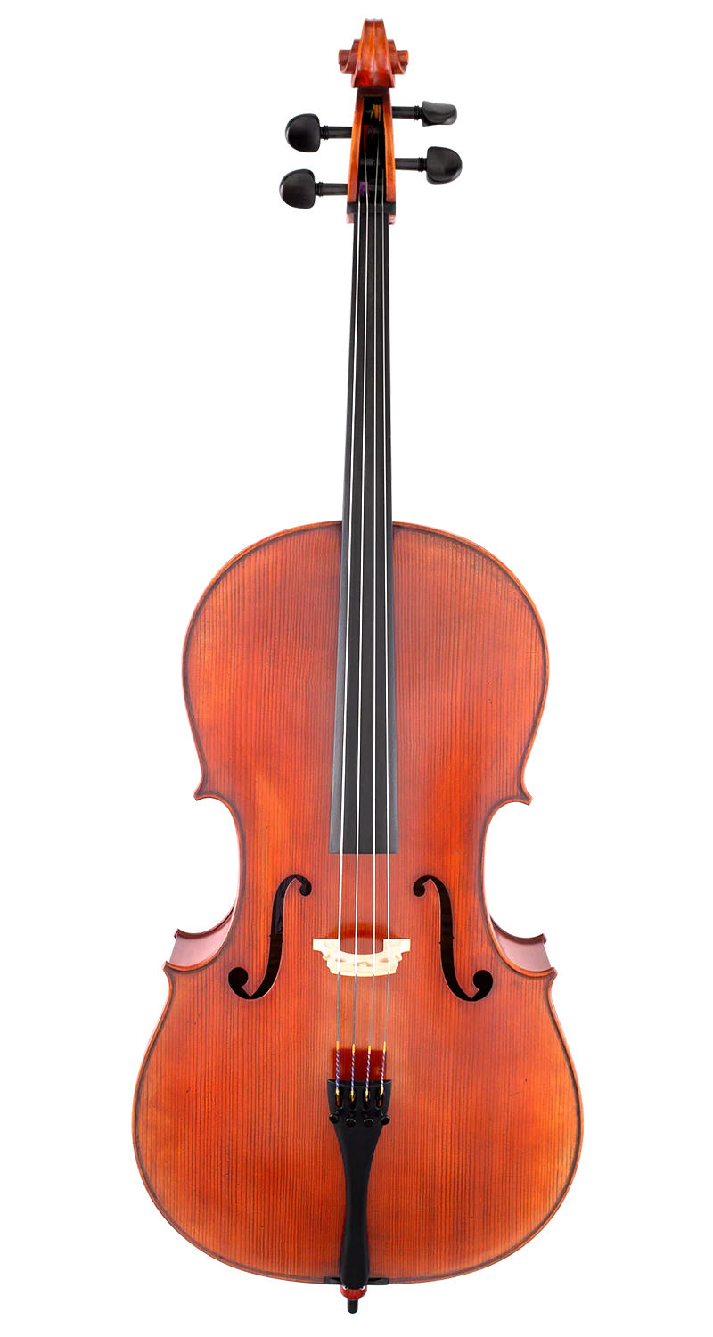 Scherl & Roth SR75 Advanced Cello