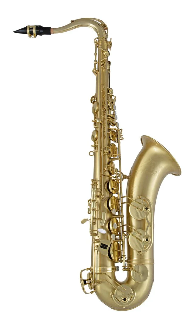 Selmer STS711 Professional Tenor Saxophone - Image 2